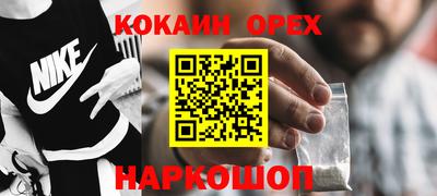 сатива Братск