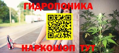 сатива Братск