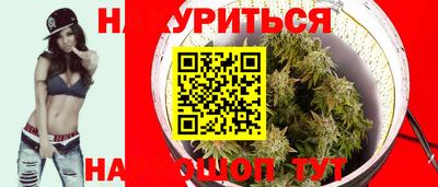 МДПВ Боровичи