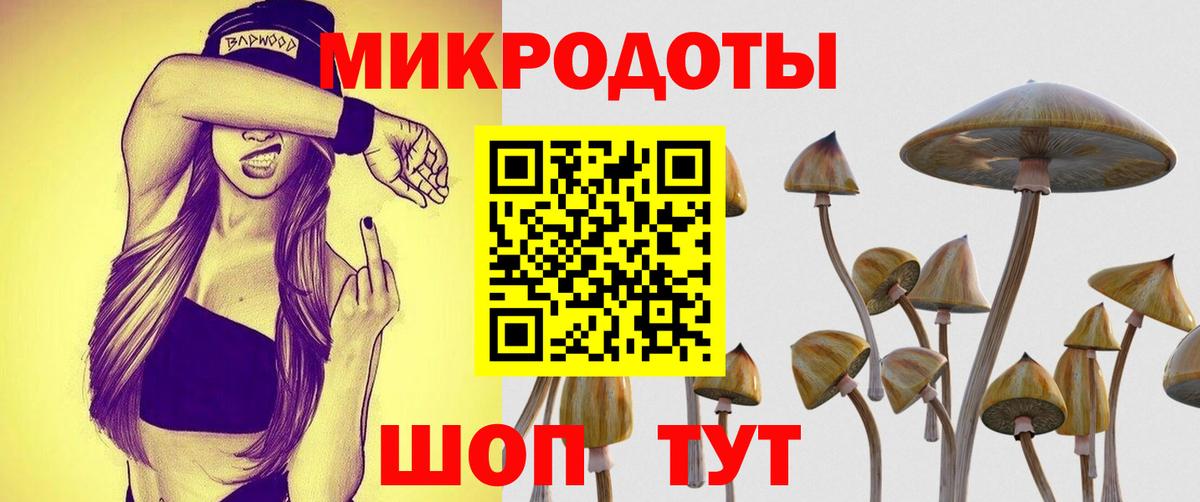 Псилоцибиновые грибы мухоморы Лесозаводск