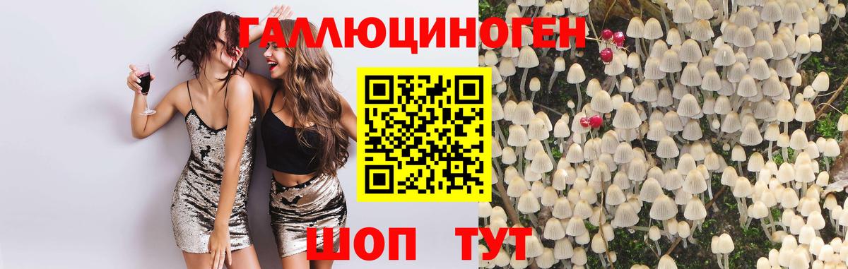 Псилоцибиновые грибы GOLDEN TEACHER  Галлюциногенные грибы Psilocybe  Лесозаводск  Вход с VPN 